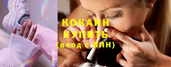 тгк Новозыбков