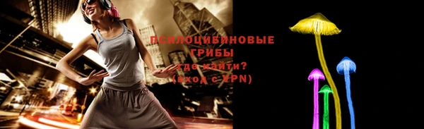 трава Новокубанск