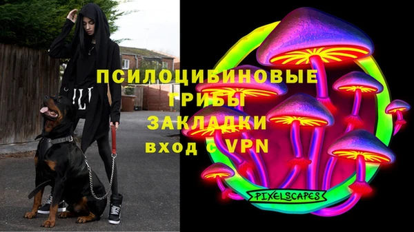соль курить ск Алзамай