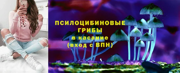 соль курить ск Алзамай
