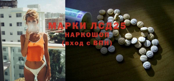 стафф Новодвинск